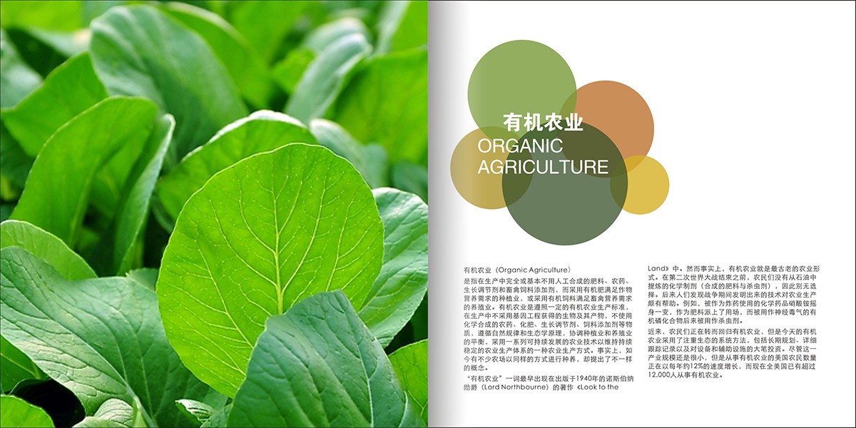 莊園畫(huà)冊(cè)設(shè)計(jì),莊園宣傳畫(huà)冊(cè)設(shè)計(jì)公司