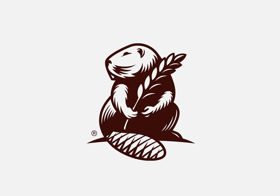 logo商標(biāo)設(shè)計(jì)要求有哪些？條件是什么
