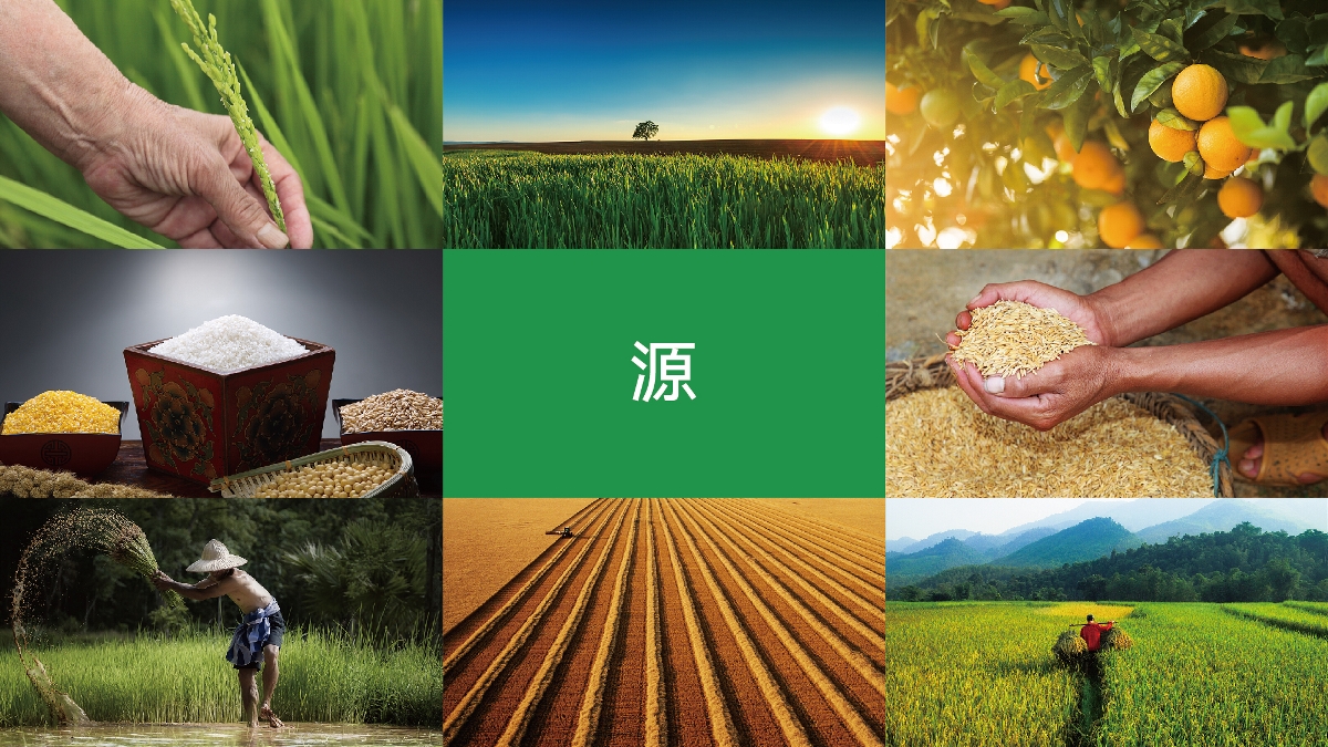 農(nóng)產(chǎn)品品牌設(shè)計(jì)技巧有哪些？怎樣塑造品牌形象