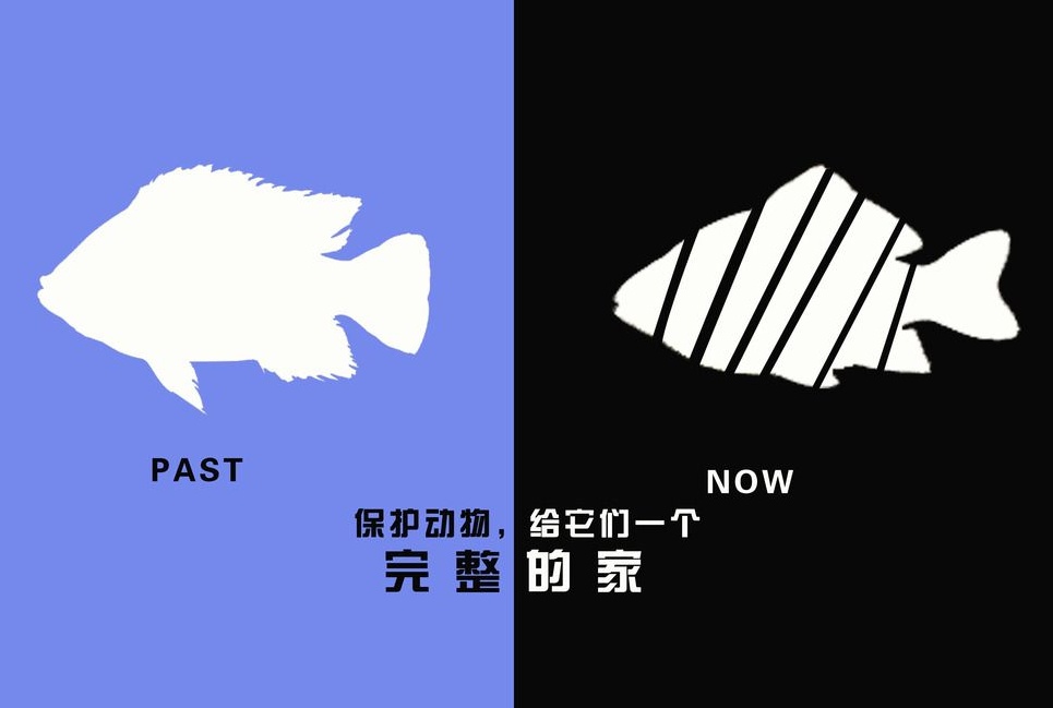 廣告設(shè)計制作有哪些要求？有哪些注意事項？