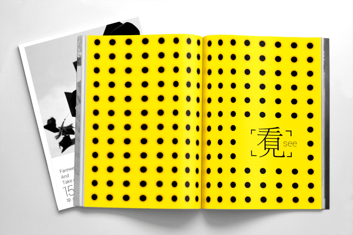 大學(xué)畢業(yè)紀(jì)念冊(cè)設(shè)計(jì)，畢業(yè)紀(jì)念冊(cè)設(shè)計(jì)公司
