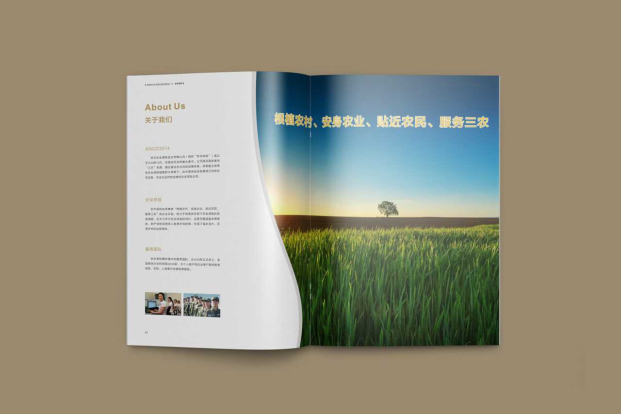 成都企業(yè)為什么要選擇高端宣傳冊設(shè)計公司呢？