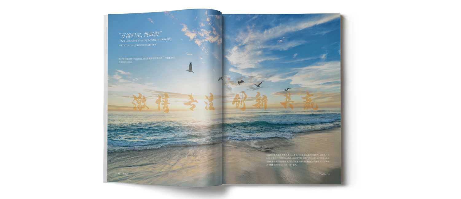 水上樂園畫冊的一些設計技巧？